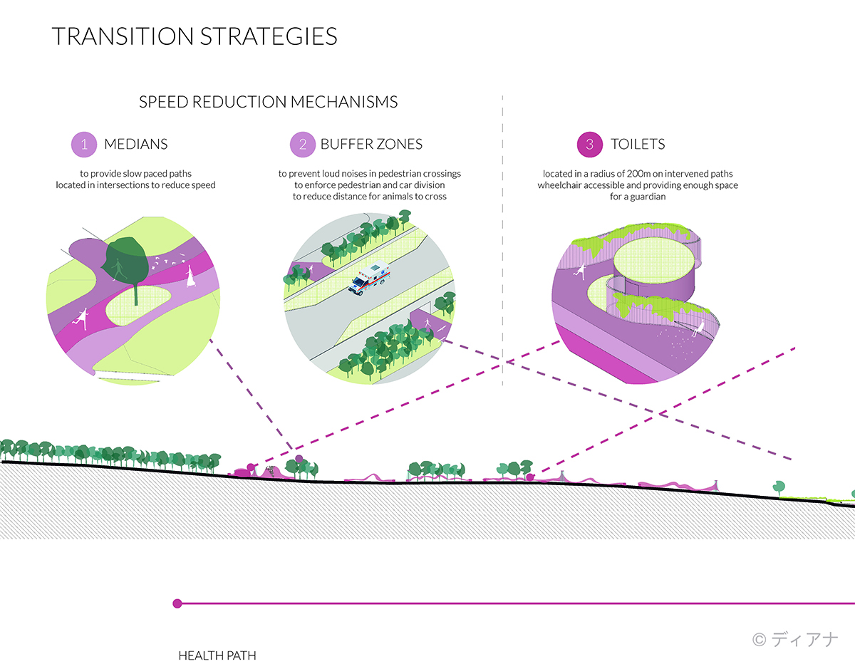 Transtition Strategies | Section | Diana Carrillo Silva